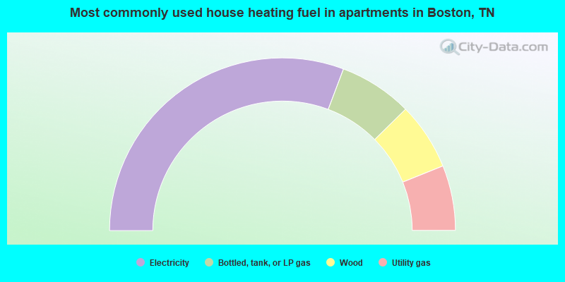 Most commonly used house heating fuel in apartments in Boston, TN