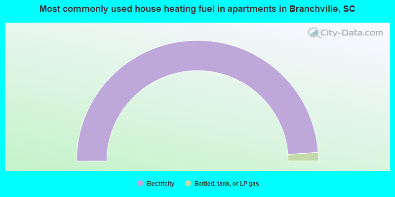 Most commonly used house heating fuel in apartments in Branchville, SC