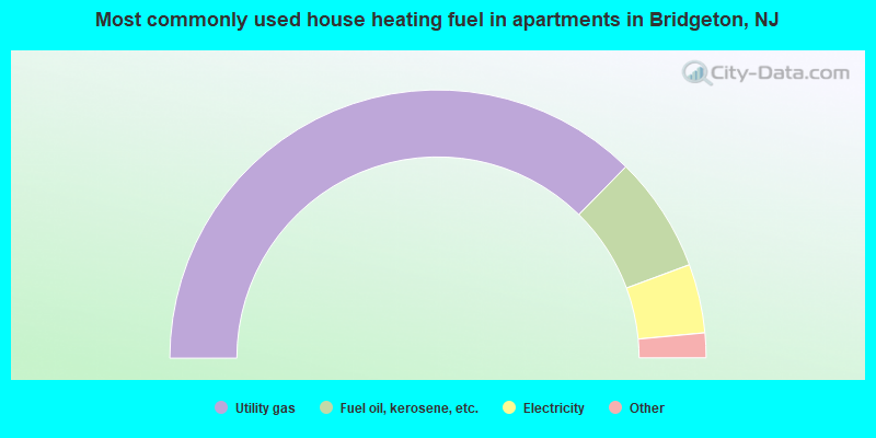 Most commonly used house heating fuel in apartments in Bridgeton, NJ