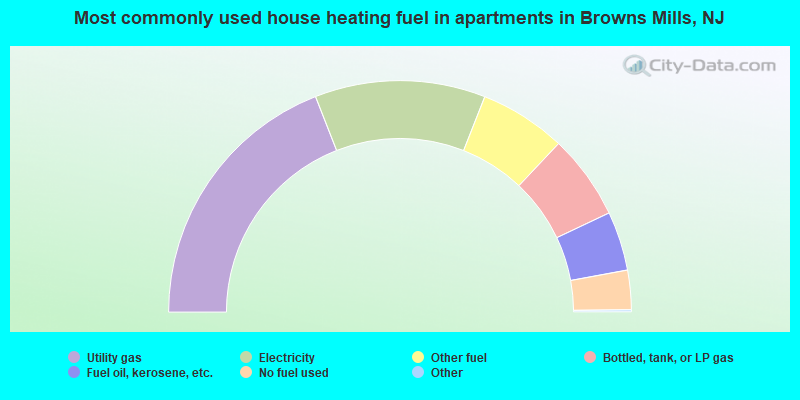 Most commonly used house heating fuel in apartments in Browns Mills, NJ