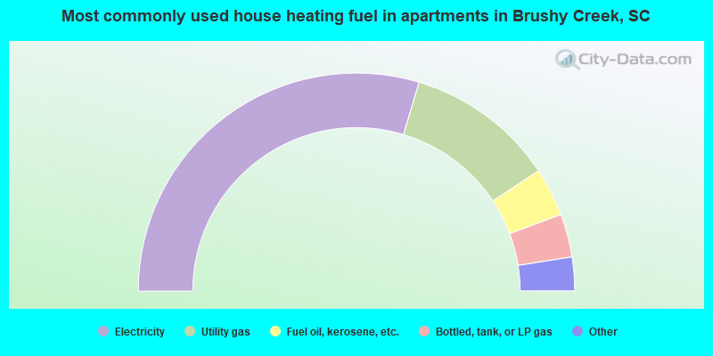 Most commonly used house heating fuel in apartments in Brushy Creek, SC