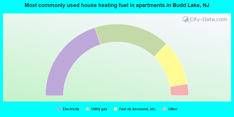 Most commonly used house heating fuel in apartments in Budd Lake, NJ