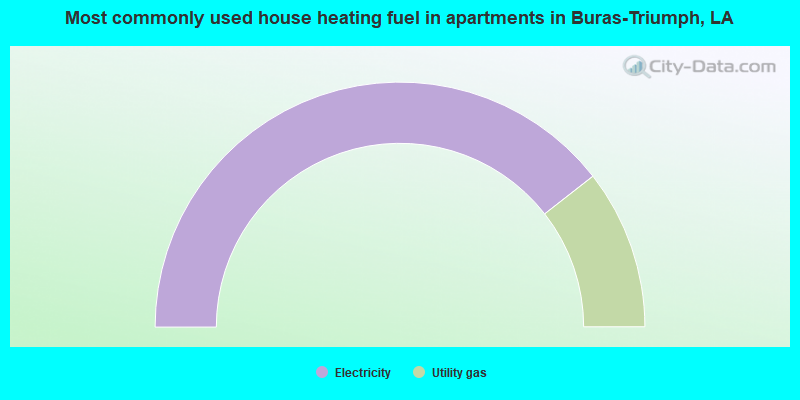 Most commonly used house heating fuel in apartments in Buras-Triumph, LA