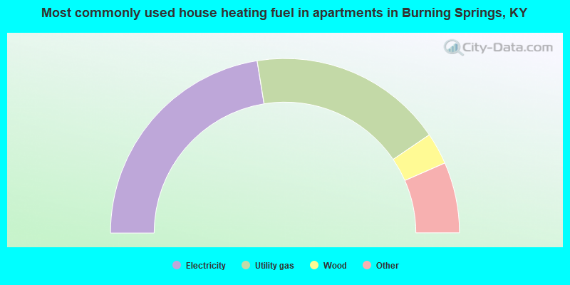 Most commonly used house heating fuel in apartments in Burning Springs, KY