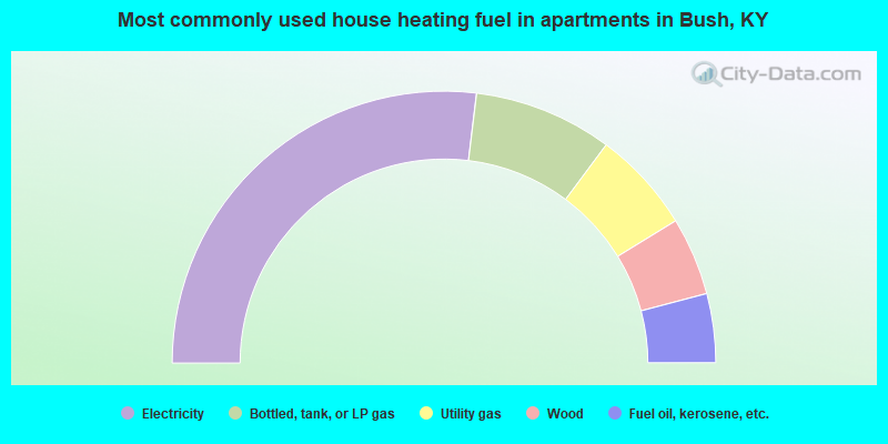 Most commonly used house heating fuel in apartments in Bush, KY