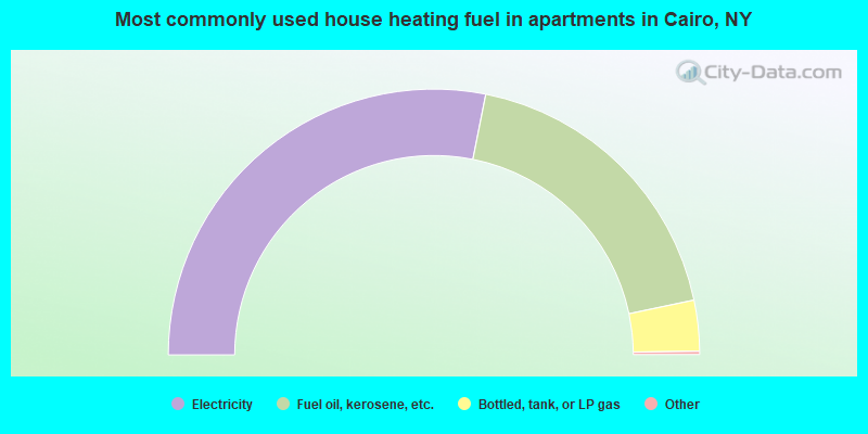 Most commonly used house heating fuel in apartments in Cairo, NY