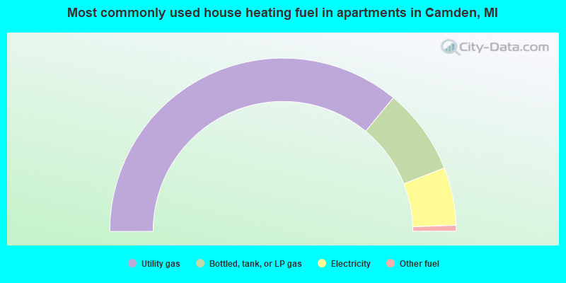 Most commonly used house heating fuel in apartments in Camden, MI