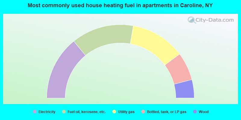 Most commonly used house heating fuel in apartments in Caroline, NY