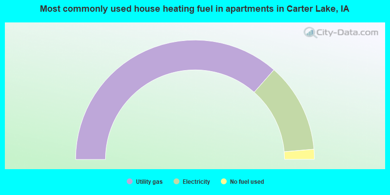 Most commonly used house heating fuel in apartments in Carter Lake, IA