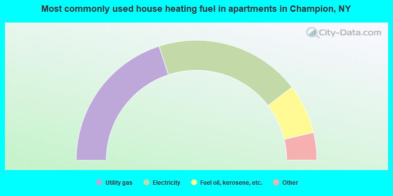 Most commonly used house heating fuel in apartments in Champion, NY