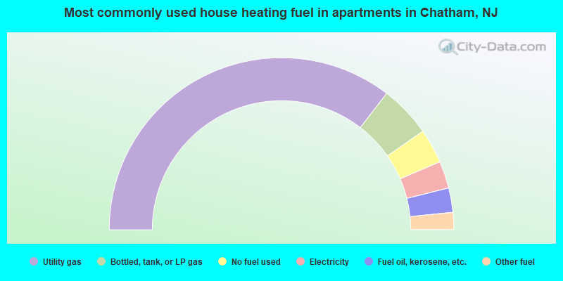 Most commonly used house heating fuel in apartments in Chatham, NJ