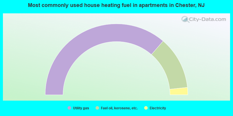 Most commonly used house heating fuel in apartments in Chester, NJ