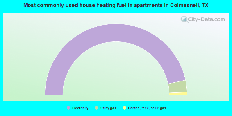 Most commonly used house heating fuel in apartments in Colmesneil, TX