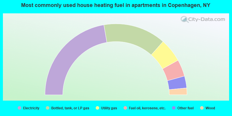 Most commonly used house heating fuel in apartments in Copenhagen, NY