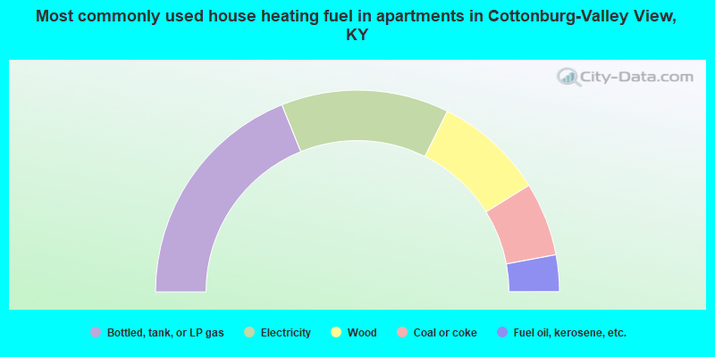 Most commonly used house heating fuel in apartments in Cottonburg-Valley View, KY