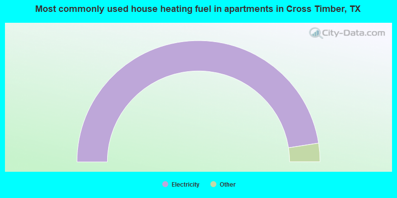 Most commonly used house heating fuel in apartments in Cross Timber, TX
