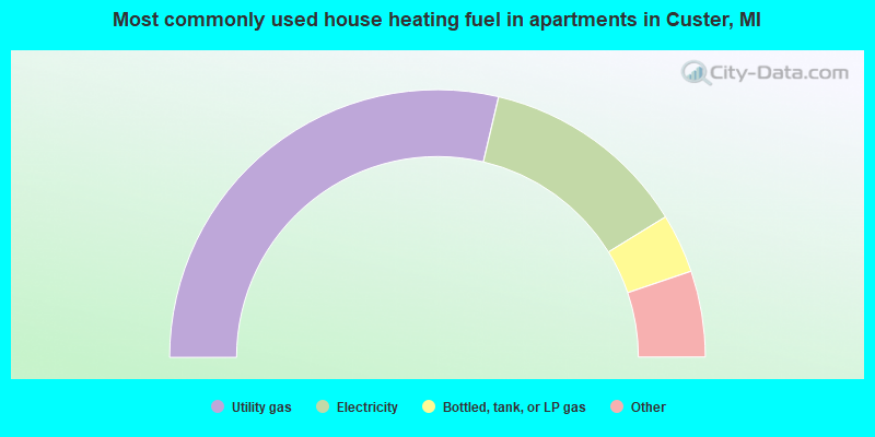 Most commonly used house heating fuel in apartments in Custer, MI