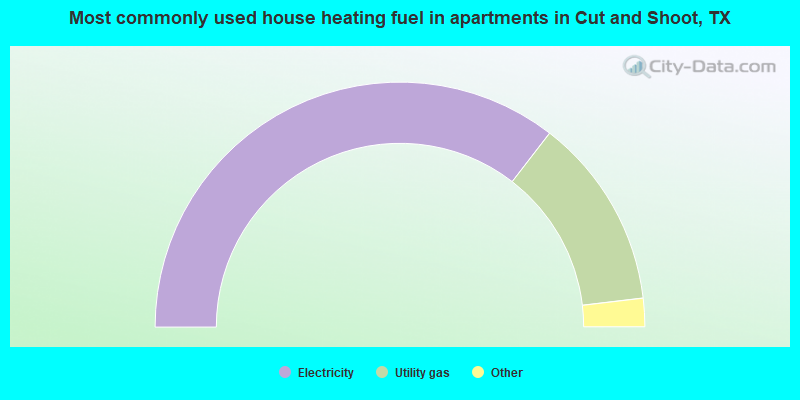Most commonly used house heating fuel in apartments in Cut and Shoot, TX