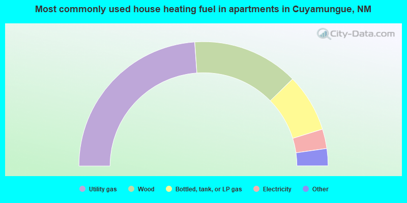 Most commonly used house heating fuel in apartments in Cuyamungue, NM