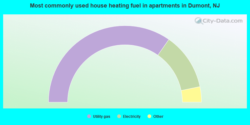 Most commonly used house heating fuel in apartments in Dumont, NJ