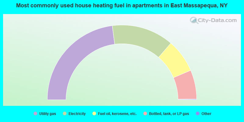 Most commonly used house heating fuel in apartments in East Massapequa, NY