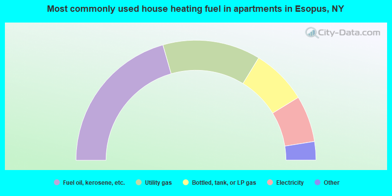 Most commonly used house heating fuel in apartments in Esopus, NY