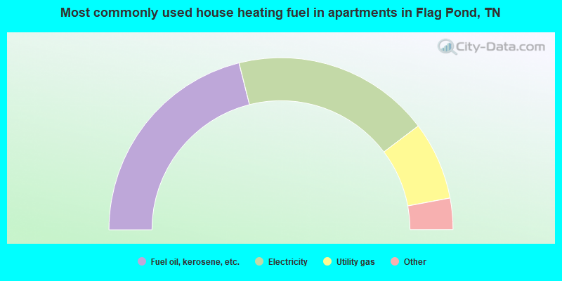 Most commonly used house heating fuel in apartments in Flag Pond, TN