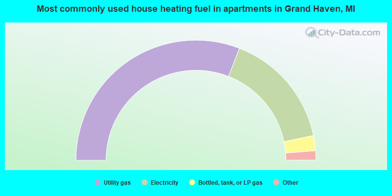 Most commonly used house heating fuel in apartments in Grand Haven, MI
