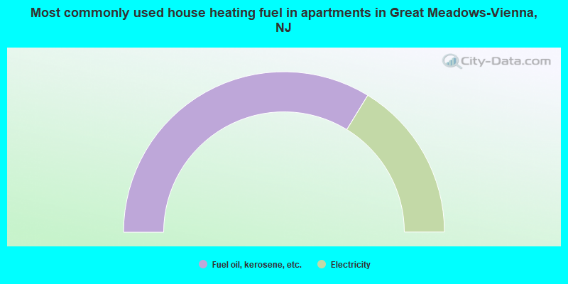 Most commonly used house heating fuel in apartments in Great Meadows-Vienna, NJ
