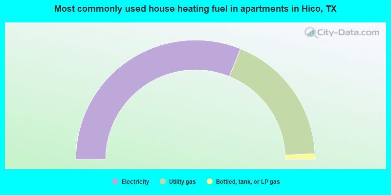 Most commonly used house heating fuel in apartments in Hico, TX