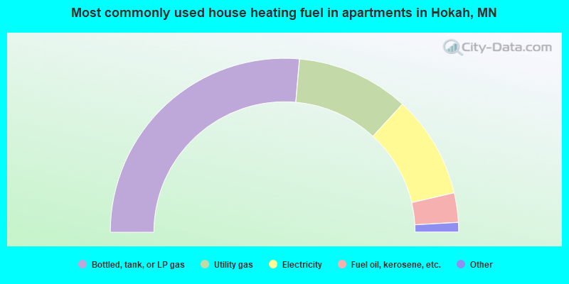 Most commonly used house heating fuel in apartments in Hokah, MN