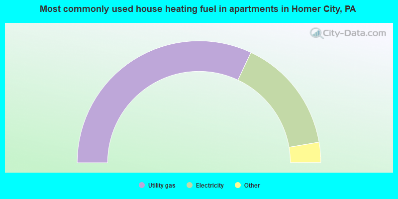 Most commonly used house heating fuel in apartments in Homer City, PA