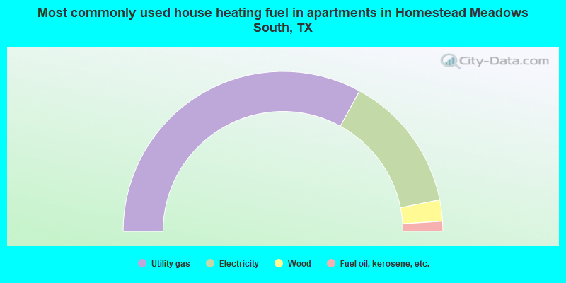 Most commonly used house heating fuel in apartments in Homestead Meadows South, TX