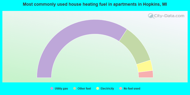 Most commonly used house heating fuel in apartments in Hopkins, MI