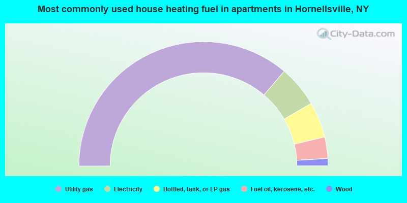 Most commonly used house heating fuel in apartments in Hornellsville, NY
