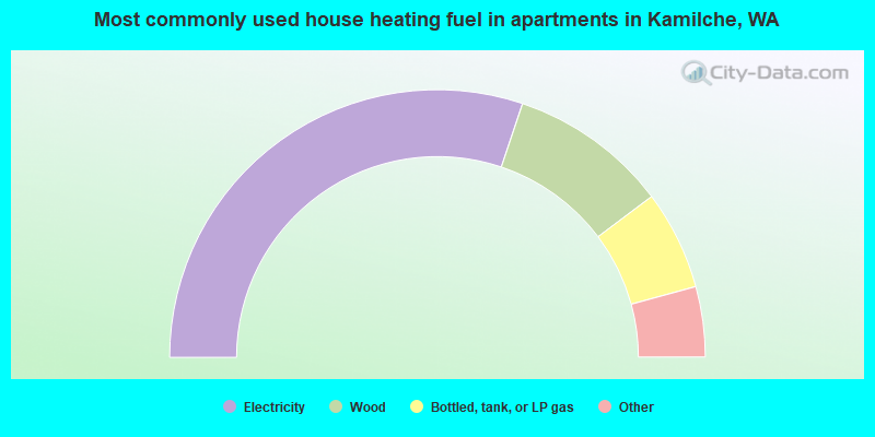 Most commonly used house heating fuel in apartments in Kamilche, WA