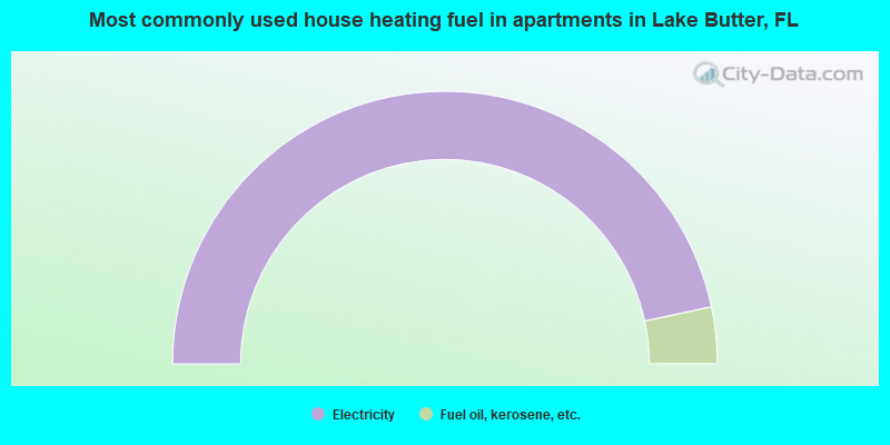 Most commonly used house heating fuel in apartments in Lake Butter, FL