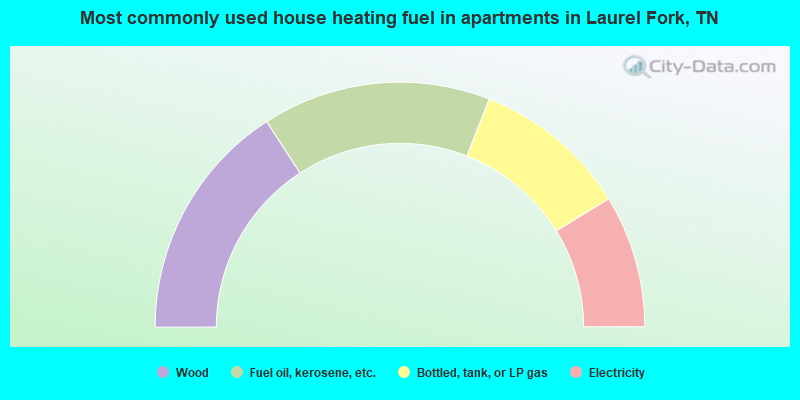 Most commonly used house heating fuel in apartments in Laurel Fork, TN