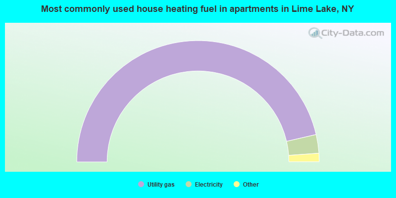 Most commonly used house heating fuel in apartments in Lime Lake, NY