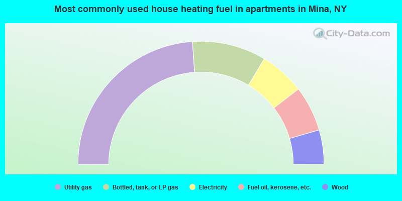 Most commonly used house heating fuel in apartments in Mina, NY