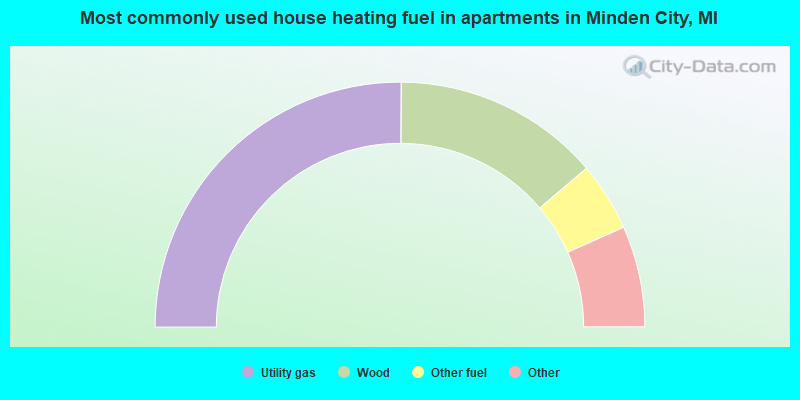 Most commonly used house heating fuel in apartments in Minden City, MI