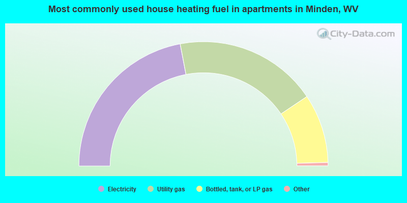 Most commonly used house heating fuel in apartments in Minden, WV