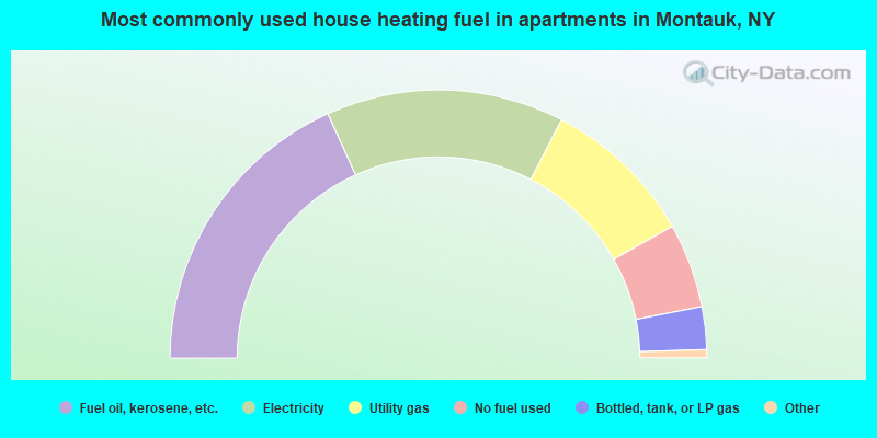 Most commonly used house heating fuel in apartments in Montauk, NY