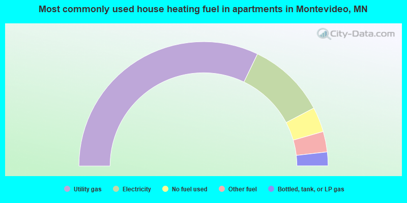 Most commonly used house heating fuel in apartments in Montevideo, MN