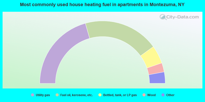 Most commonly used house heating fuel in apartments in Montezuma, NY