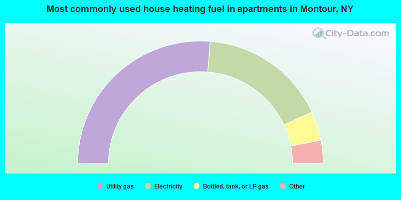 Most commonly used house heating fuel in apartments in Montour, NY