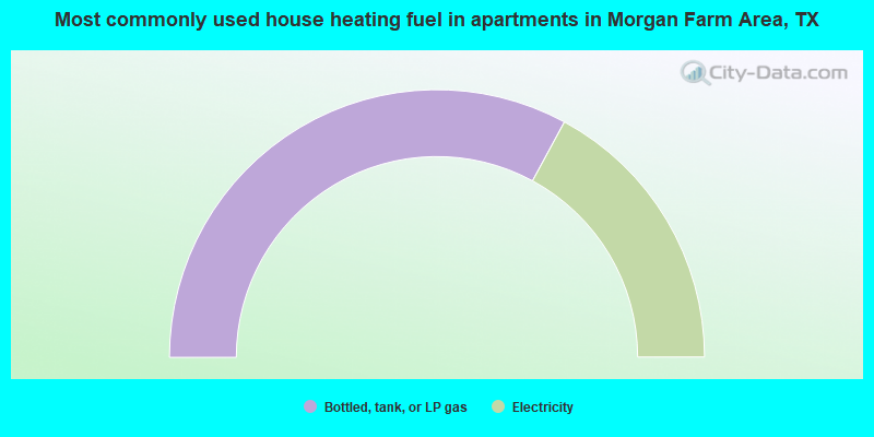 Most commonly used house heating fuel in apartments in Morgan Farm Area, TX