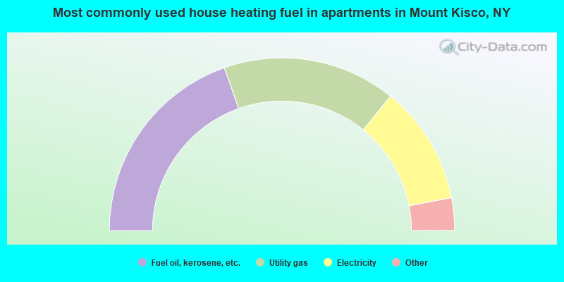 Most commonly used house heating fuel in apartments in Mount Kisco, NY