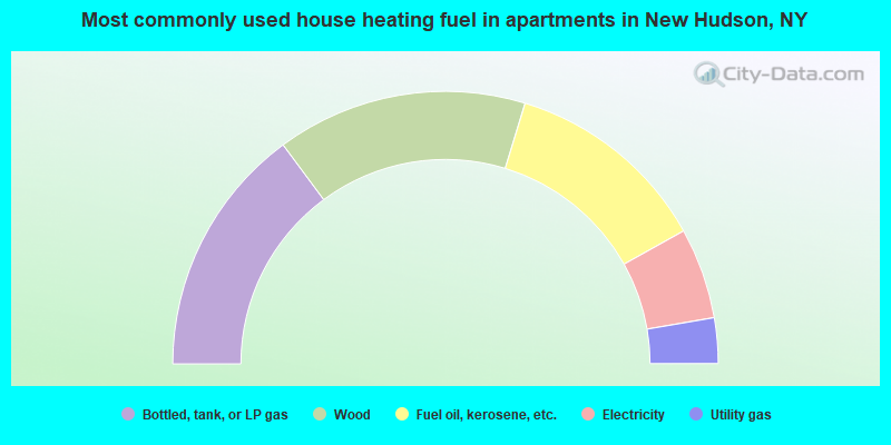 Most commonly used house heating fuel in apartments in New Hudson, NY