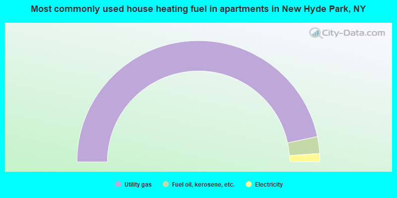 Most commonly used house heating fuel in apartments in New Hyde Park, NY